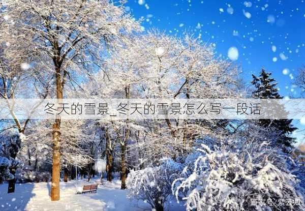 冬天的雪景_冬天的雪景怎么写一段话